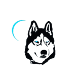logo-1