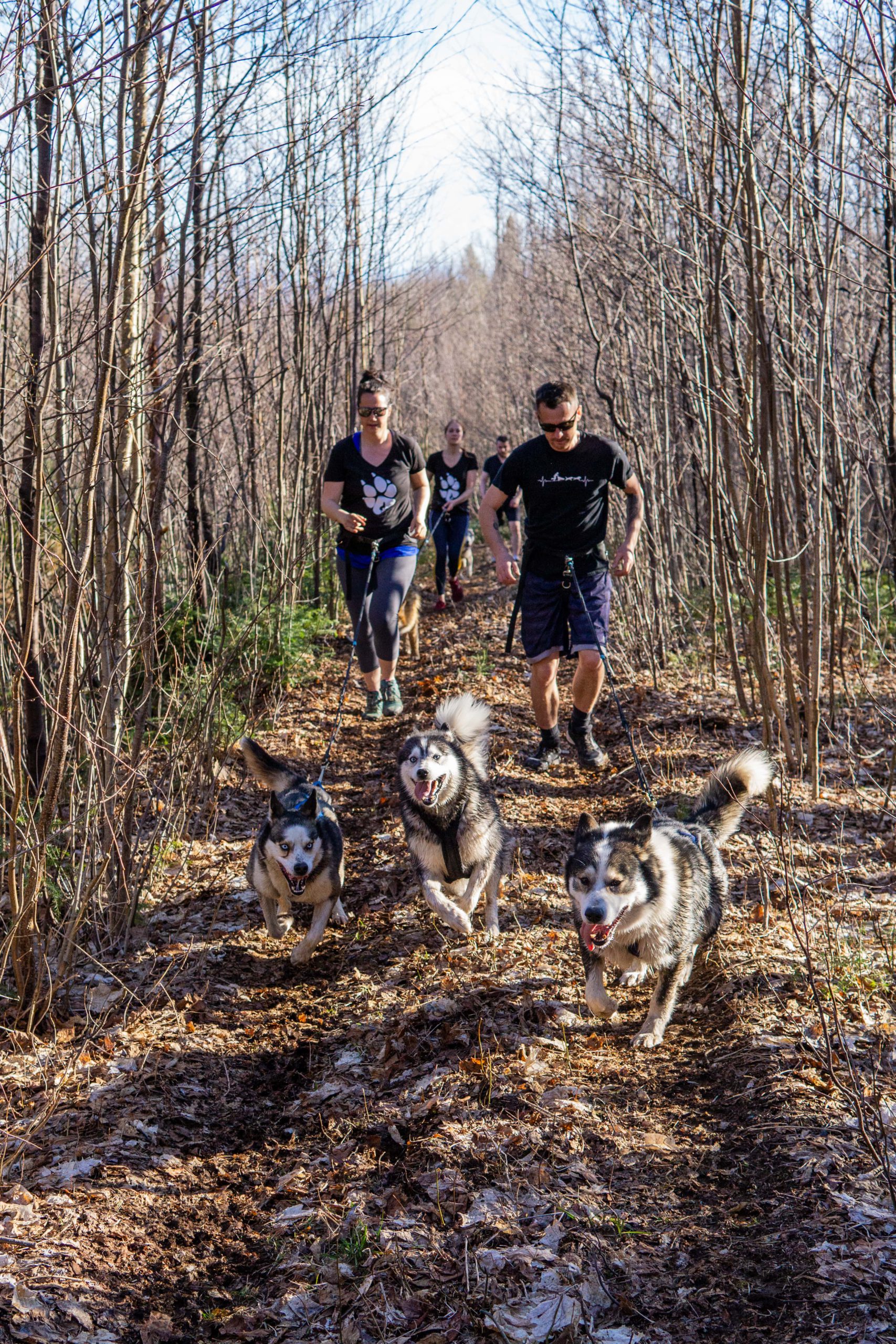 CaniRando-Saguenay-7
